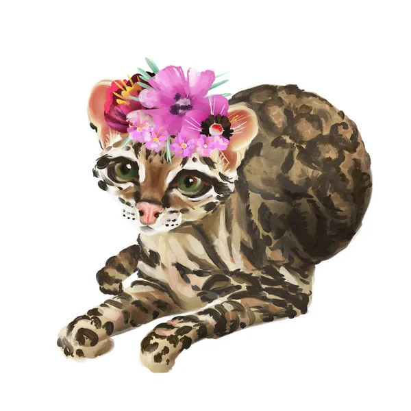 Søt Ocelot Katt Tropisk Blomsterkrone Isolert Hvit Bakgrunn – stockfoto