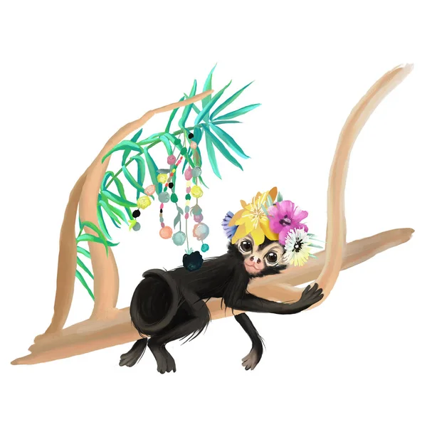 Милая Маленькая Обезьянка Цветочной Короне Тропической Ветке Дерева Изолированы Белом — стоковое фото