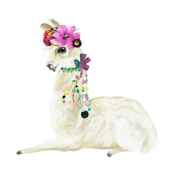 Милая Ручная Роспись Мексиканской Ламы Цветами Венок Цветочный Букет Бохо — стоковое фото