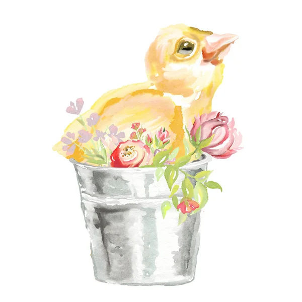 Söt Akvarell Baby Kyckling Hink Med Blommor — Stockfoto