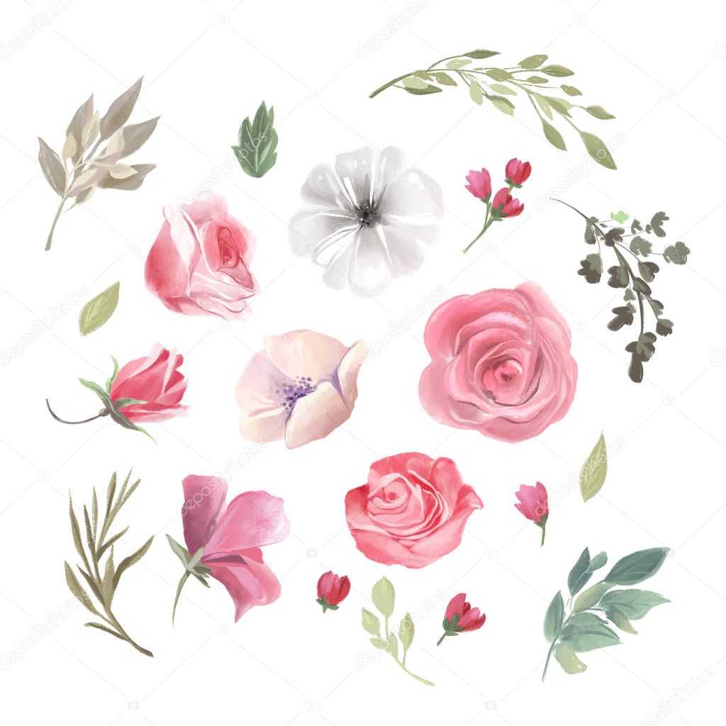 Watercolor floral vintage design elements of flowers and leaves