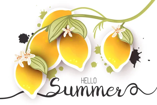 Carte Saisonnière Été Avec Branche Sur Citrons Vacances Concept Loisirs — Image vectorielle