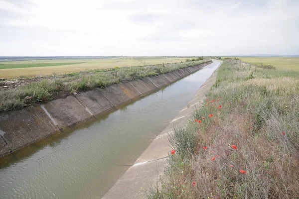 Canal Artificial Regadío Inundado Agua Los Aviones Del Este Rumanía — Foto de Stock