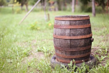 Kırsal bir evin arka bahçesinde paslı eski varil