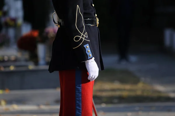 退役軍人墓地の公式儀式に出席するフランスの名誉警備兵の兵士の制服の詳細 — ストック写真
