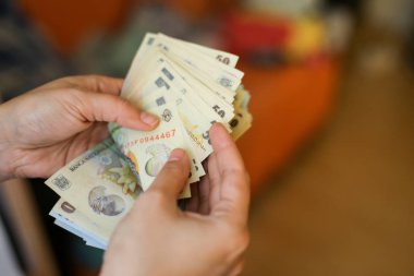 50 ve 100 Romence Lei para banknot sayma genç bir kız elleriyle ayrıntıları