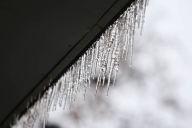 Buz sarkıtları bir dondurucu yağmur hava fenomen sonra asılı