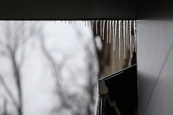 Hanging Icicles Freezing Rain Weather Phenomenon — Stock Photo, Image