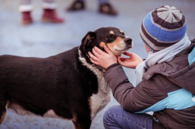 Bir erkek eski köpek sevişme genç bir çocuk ile samimi an