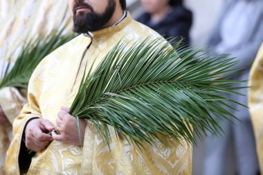 Bir Palm Pazar hac proces sırasında Romen Ortodoks rahipler
