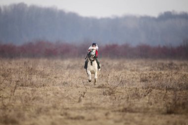  Adam bareback bir Epiphany cele önce süslenmiş bir ata biniyor