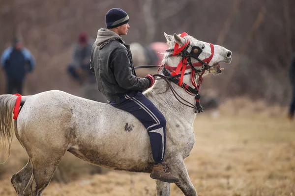 Homem é bareback montando um cavalo adornado antes de um Epiphany cele — Fotografia de Stock