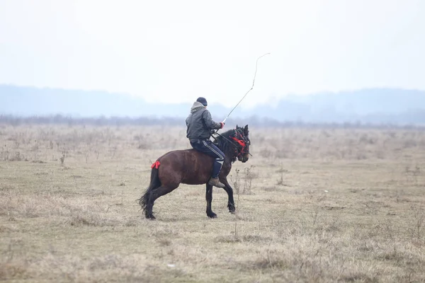 Homem é bareback montando um cavalo adornado antes de um Epiphany cele — Fotografia de Stock