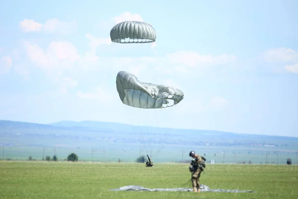 Paracaidistas militares rumanos aterrizan después de saltar de un ejército p — Foto de Stock