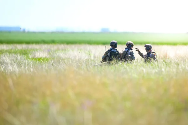 Soldats de l'armée roumaine restent dans un champ, par une journée d'été ensoleillée — Photo