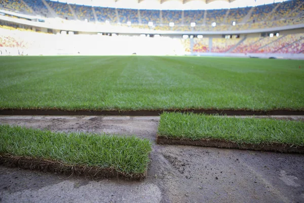 Bir soc üzerinde yeni yüklü ve kesilmiş yeni çim ile ayrıntılar