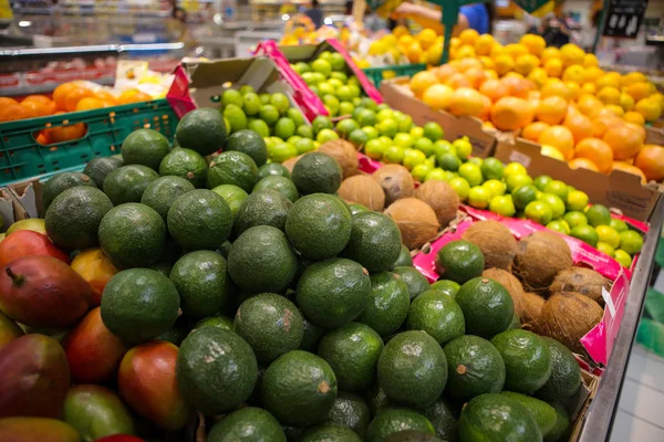 Avokado, hindistan cevizi, limon, greyfurt, portakal ve mango th — Stok fotoğraf