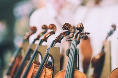 Kaydırma, mandal kutusu, tuning mandallar, dizeleri, boyun ve ayrıntıları ile ayrıntılar