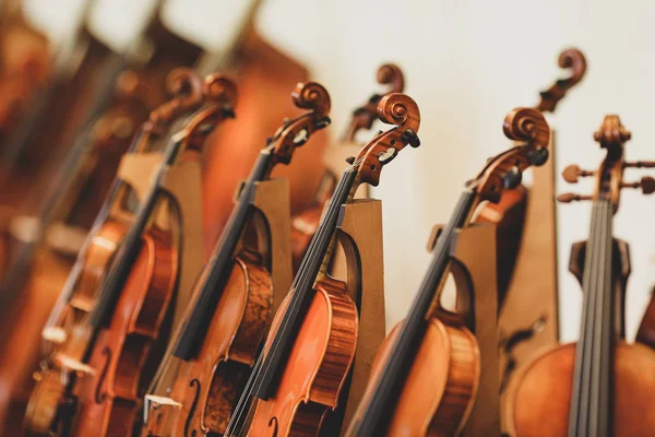 在交响乐古典音乐会前与小提琴部分的细节 — 图库照片