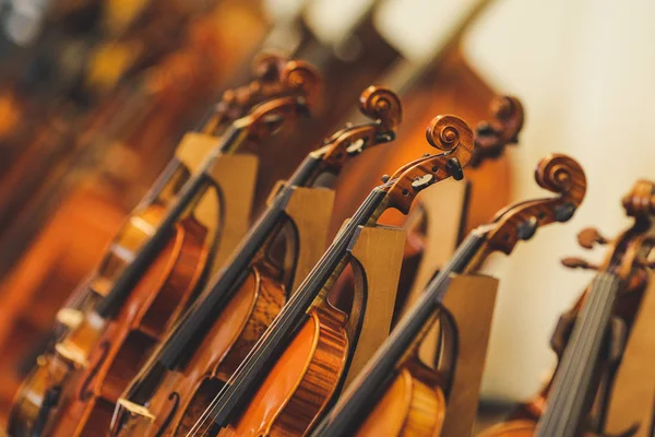 Detalles con partes de violines ante un cono sinfónico clásico —  Fotos de Stock