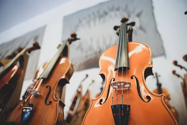 Detalles con partes de violines ante un cono sinfónico clásico — Foto de Stock