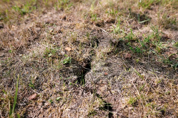 Крак Землі Через Тривалу Посуху Подвір Румунського Фермера — стокове фото