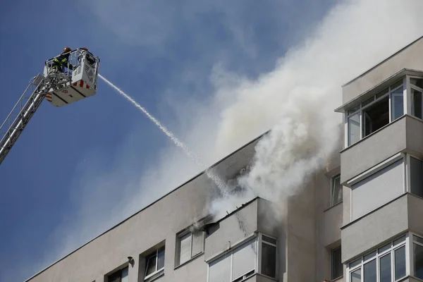 Βουκουρέστι Ρουμανία Αυγούστου 2020 Πυροσβέστες Προσπαθούν Σβήσουν Φωτιά Που Εξαπλώθηκε — Φωτογραφία Αρχείου