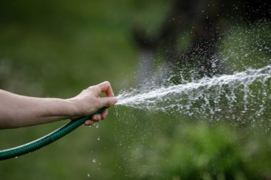 Kırsal bahçesini hortumla sulayan yaşlı bir kadının eliyle ilgili detaylar..