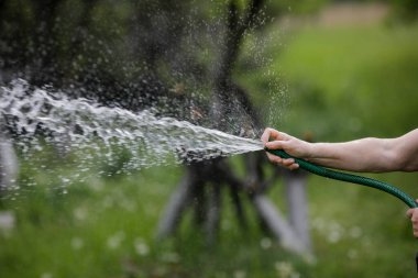Kırsal bahçesini hortumla sulayan yaşlı bir kadının eliyle ilgili detaylar..