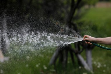 Kırsal bahçesini hortumla sulayan yaşlı bir kadının eliyle ilgili detaylar..