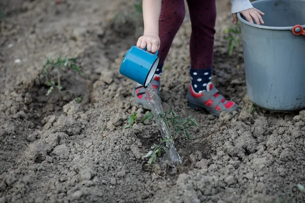 Detalles Con Las Manos Una Niña Regando Una Planta Del —  Fotos de Stock