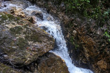 Romanya 'nın Karpat Dağları' ndaki berrak serin suyla birlikte dağ deresi.