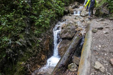Romanya 'nın Karpat Dağları' ndaki berrak serin suyla birlikte dağ deresi.