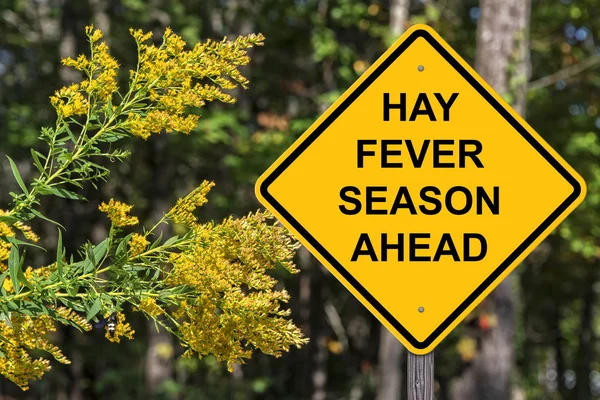 花粉症シーズン前の警告サイン — ストック写真