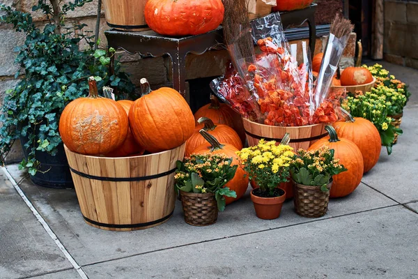 Disposición de Halloween frente a la tienda de la calle en Nueva York con calabazas naranjas, physalis alkekengi o cereza de vejiga o linternas chinas, mamás amarillas y otras decoraciones — Foto de Stock