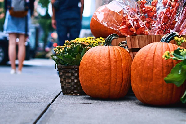 Disposición de Halloween frente a la tienda de la calle en Nueva York con calabazas naranjas, physalis alkekengi o cereza de vejiga o linternas chinas, mamás amarillas y otras decoraciones — Foto de Stock