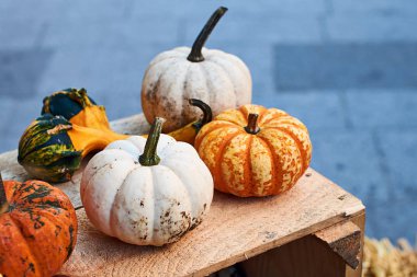 Bir ahşap sandık üzerinde turuncu ve beyaz renklerde küçük halloween kabaklar