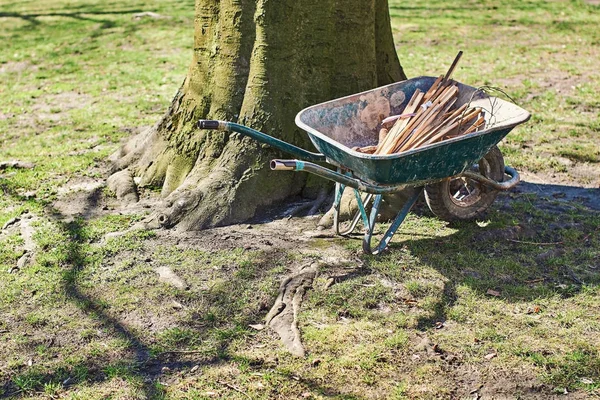 Тачка с садовыми инструментами под деревом в солнечный весенний день — стоковое фото