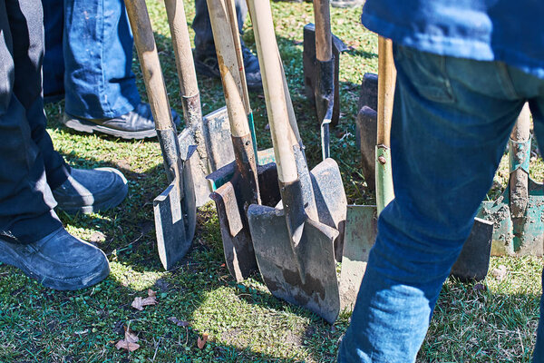 Team of workers ready to start planting trees with their shovels, teamwork concept