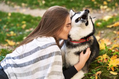 Genç güzel kız sonbahar parkta onu sevimli husky köpek evcil hayvan ile oynarken kırmızı ve sarı düşmüş yaprakları ile kaplı
