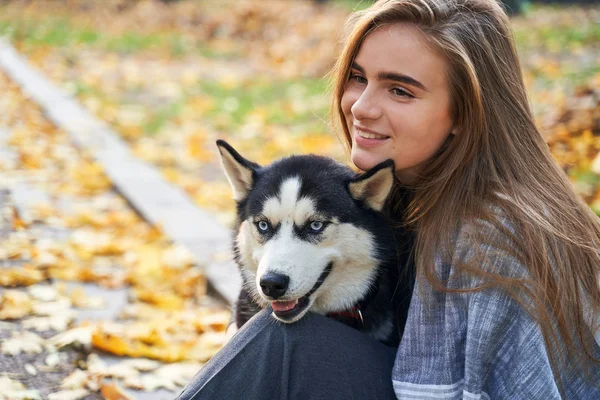 Young beautiful girl playing with her cute husky dog pet in autumn park covered with red and yellow fallen leaves — Stock Photo, Image