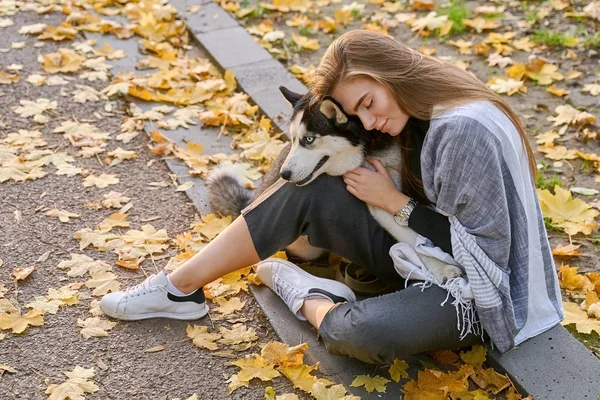 Young beautiful girl playing with her cute husky dog pet in autumn park covered with red and yellow fallen leaves — Stock Photo, Image