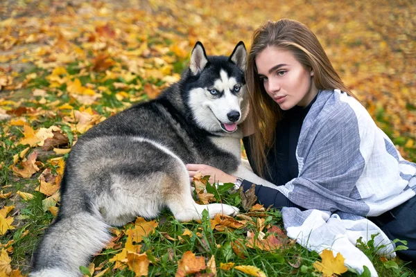 Mladá krásná dívka si zahrává s roztomilým psím psem v podzimním parku pokrytých červenými a žlutými padýma listy — Stock fotografie