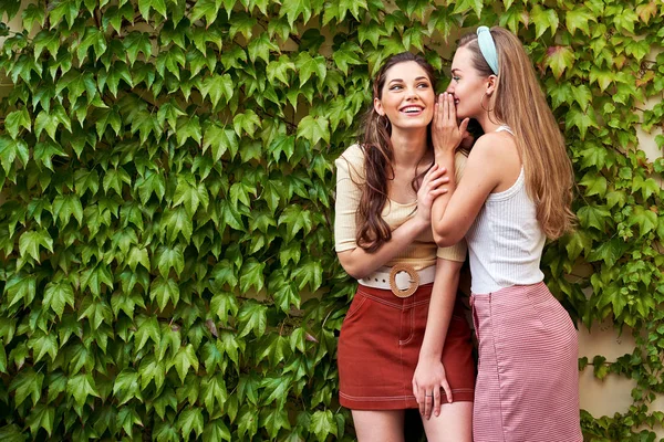 Jóvenes hermosas chicas vestidas en estilo retro vintage disfrutando del viejo estilo de vida de la ciudad europea sobre fondo de pared de vid verde — Foto de Stock