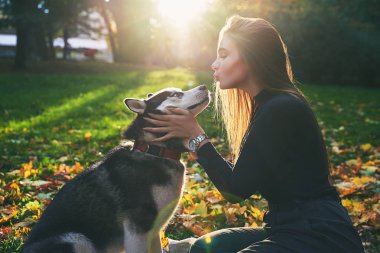 Genç güzel kız sonbahar parkta onu sevimli husky köpek evcil hayvan ile oynarken kırmızı ve sarı düşmüş yaprakları ile kaplı