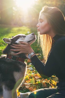 Genç güzel kız sonbahar parkta onu sevimli husky köpek evcil hayvan ile oynarken kırmızı ve sarı düşmüş yaprakları ile kaplı