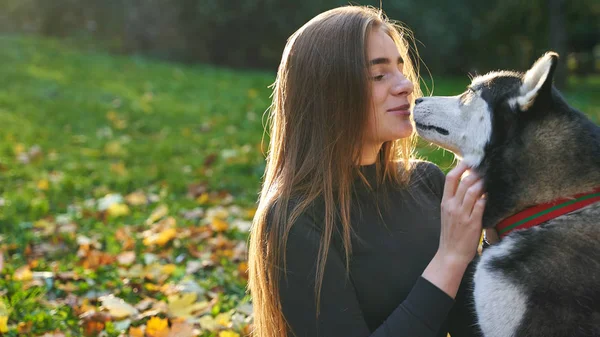 Young beautiful girl playing with her cute husky dog pet in autumn park covered with red and yellow fallen leaves — Stock Photo, Image