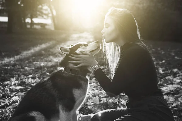 Mladá krásná dívka si hrála se svým roztomilým psím psem v podzimním parku pokrytých padlým listí v černobílém — Stock fotografie