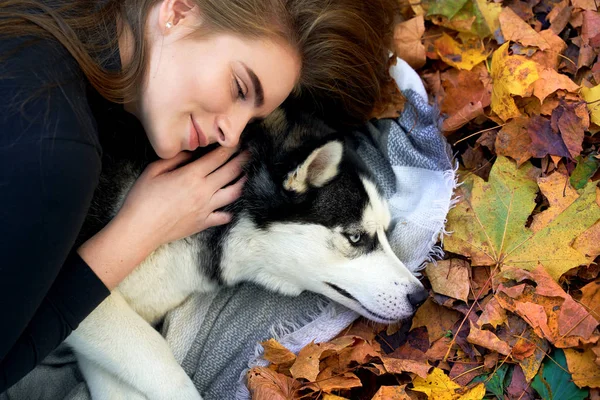 Young beautiful girl playing with her cute husky dog pet in autumn park covered with red and yellow fallen leaves — Stock Photo, Image