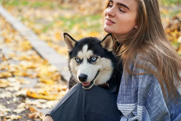 Young beautiful girl playing with her cute husky dog pet in autumn park covered with red and yellow fallen leaves — Stock Photo, Image